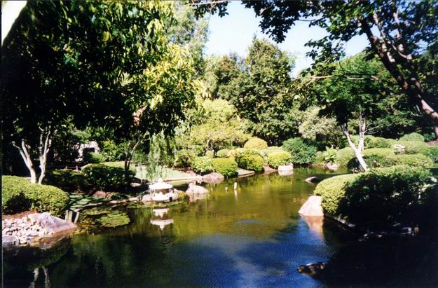 Japanese Gardens at Royal Botanic Gardens in Brisbane.