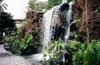 Waterfall at Orchid Gardens - Singapore.
